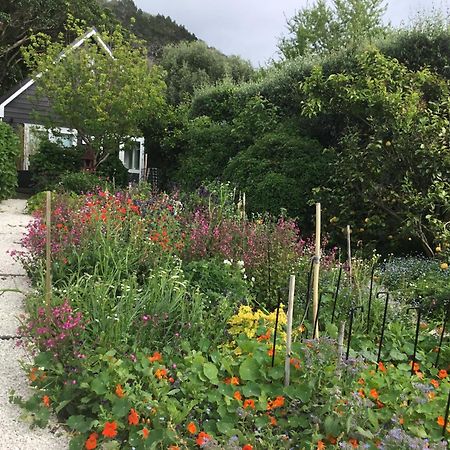 Hahei Kereru Cottage 외부 사진