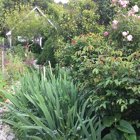 Hahei Kereru Cottage 외부 사진