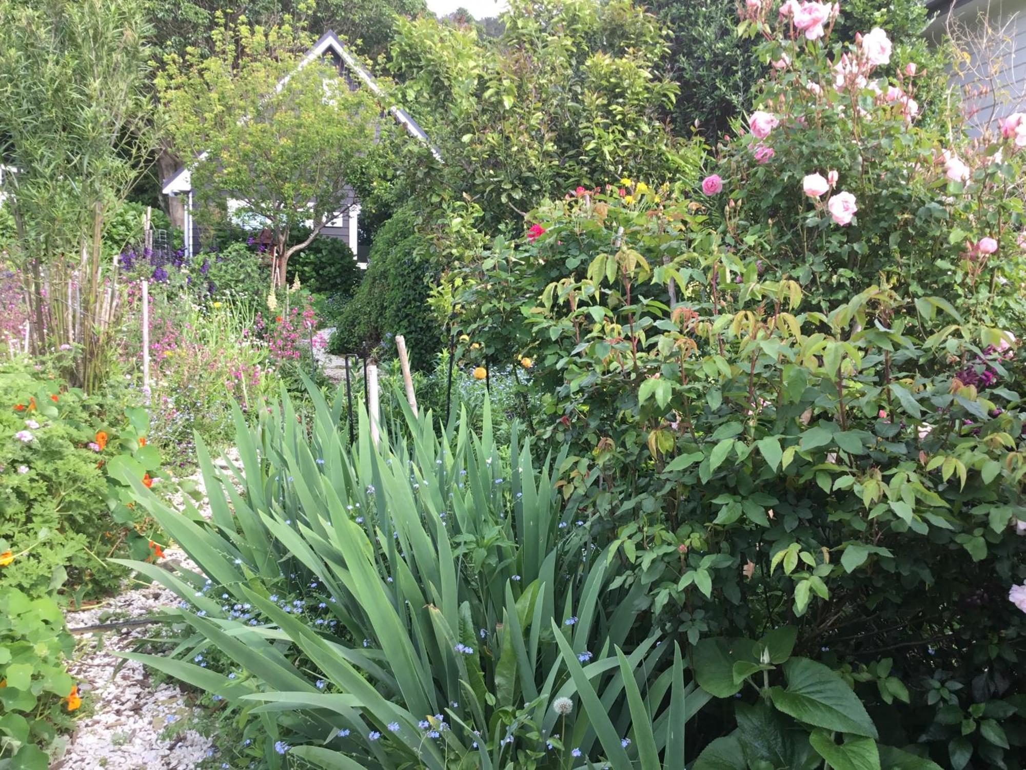 Hahei Kereru Cottage 외부 사진